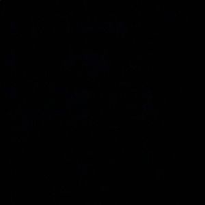 Meet your Posher, Chloe